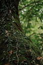 pexels-photo-5797968
