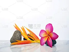 温泉放松美丽的热带花卉壁纸或背景