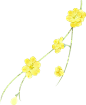 绿色黄色植物插画水墨节气立春彩色水彩花朵图片