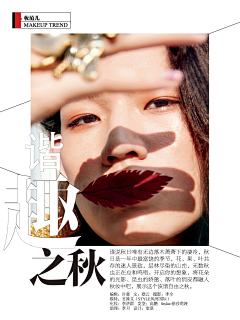 林一二的设计铺采集到企业画册