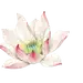 -「DESIGN〃°素材」古风素材_封面设计吧_百度贴吧