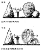 植物空间设计把握——我知道的都给你了