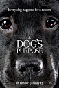 Extra Large Movie Poster Image for A Dog's Purpose (#3 of 6)