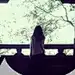 一米LOVE阳光