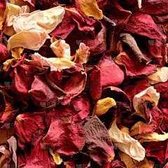 干玫瑰花瓣，背景，方形格式