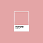 Pantone da nossa Logo. Criado com Pantone Studio.