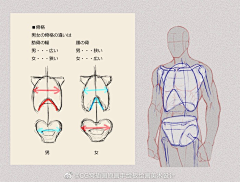 番茄罐头藏硬币采集到人体