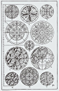 From, "A Handbook of Ornament". 1898 by Franz Sales Meyer.: From, "A Handbook of Ornament". 1898 by Franz Sales Meyer.