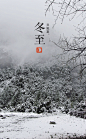 冬至——蚯蚓结；糜角解；水泉动