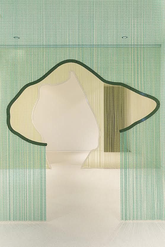 Daniel Steegmann Mag...