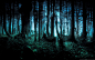 General 1920x1200 forest hidden