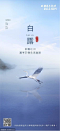 源文件下载 白露清新倒影 白露 清新 倒影 节气 自然