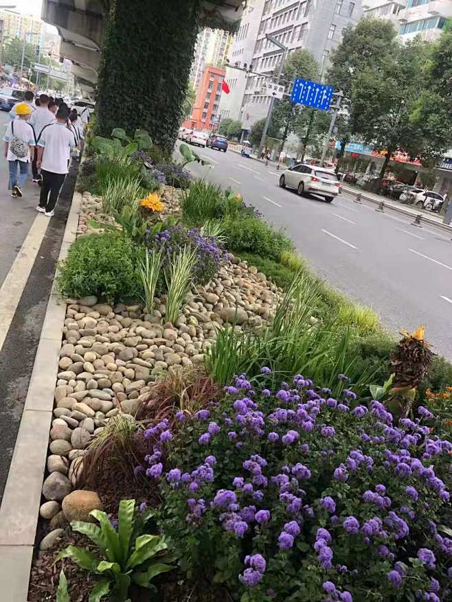 广州高架桥下02
