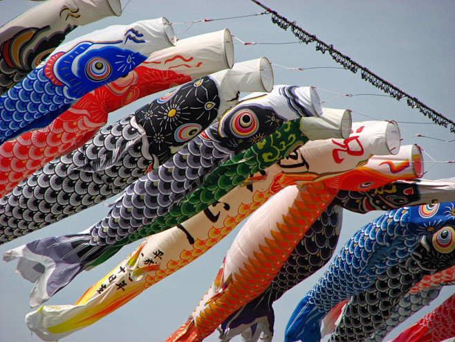 鲤鱼旗Koinobori 泳げ鯉のぼり相...