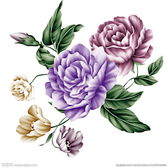 粉色公主88888采集到插画