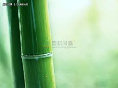 竹子PPT背景图片免费下载_PPT背景图片|PPT底图_素材风暴(www.sucaifengbao.com)    #桌面##壁纸##图片#