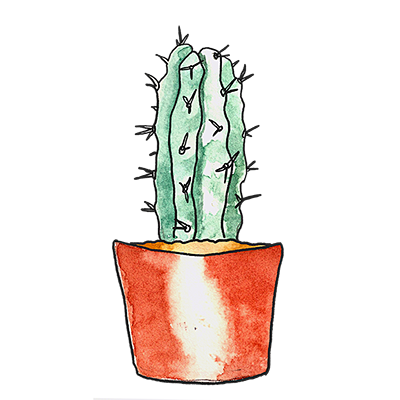 仙人掌手绘水彩盆栽多肉植物免扣png素材