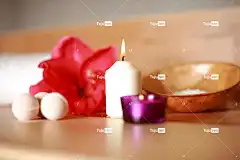 花 桑拿 健康 治疗 自然 木头 浴 花壁纸 美丽的花朵 放松
