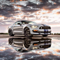 Ford Shelby Mustang GT350                                                                                                                                                     More