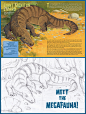 infographic book megafauna animals Ancient Nature meet the megafauna! Palaeogen