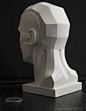 Anatomy Next store - MALE TOPOGRAPHY HEAD 3D PRINT model