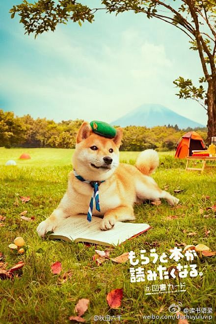 日本的全国通用图书卡有个柴犬的系列海报，...