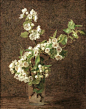 【 Henri Fantin-Latour，生于1836年，法国的画家。他的花卉画和静物画尤为出名… 】 ​ ​​​​
