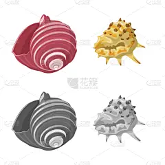 动物,标志,分离着色,鸡尾酒,自然,螺线,海产,设计,装饰,收集