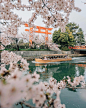 京都 | Mitsuru Wakabayashi