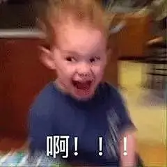 斗图呀！你们知道这几个总出现在表情包的小可爱是谁吗？ : 斗图呀！你们知道这几个总出现在表情包的小可爱是谁吗？