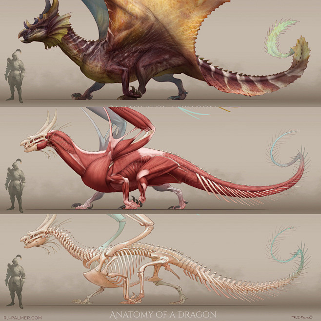rjpalmerartist_40541...