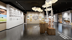 里外展厅展馆设计采集到九间荞麦坊——荞麦展厅