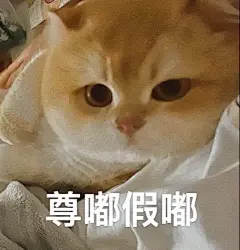 60张坡坡表情包原图攻击。#图文伙伴计划2024 #谁能 - 抖音