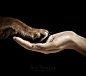 Unconditonal Love by Aris Sánchez on 500px