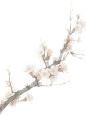 0231b6431b0c15e42b16f8fa6ca364fc375d2b5cc2c40-DoVjyY_fw1200