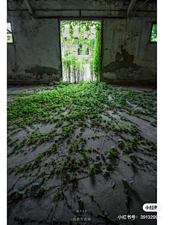 风李雨李采集到背景