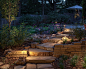 150K Light Garden and Outdoor Design Ideas & Remodel Pictures | Houzz