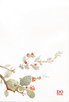 牧柒柒采集到花浮