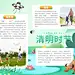 清明节手抄报