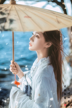 宫主👸采集到商业