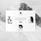 Photography Agency — Layout Exploration by Achraf Elkaami on Drib