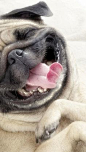 smiling!!!