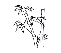 幻花秋月采集到国风竹子