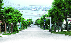WX263403采集到风景