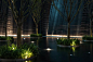 © Platform Design Group Limited