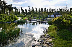 SunflowerO(∩_∩)O哈哈~采集到驳岸