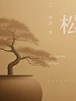 岁寒三友 | 松柏之志 - 小红书
