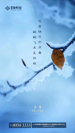 小样悠扬采集到节日——小雪