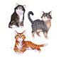 patri-balanovsky-cat-sketches-small.jpg (1100×1041)