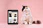Pet 项目 | Behance 上的照片、视频、徽标、插图和品牌